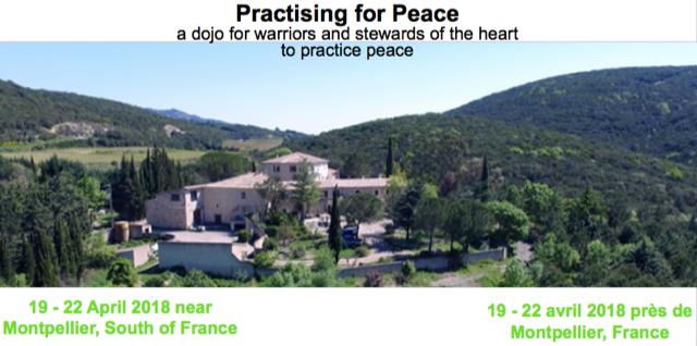Practising for Peace Dojo