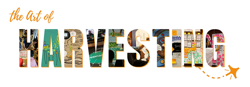 Art of Harvesting Vietnam